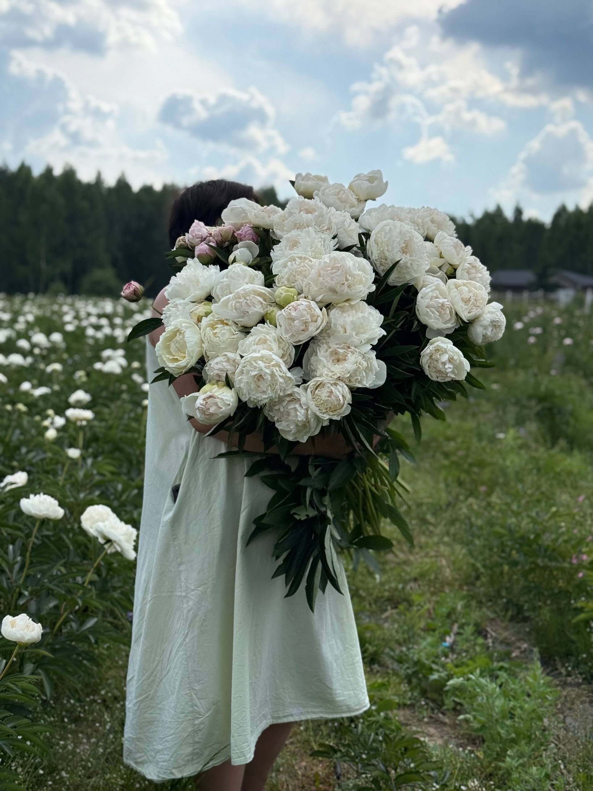 Фермерские цветы