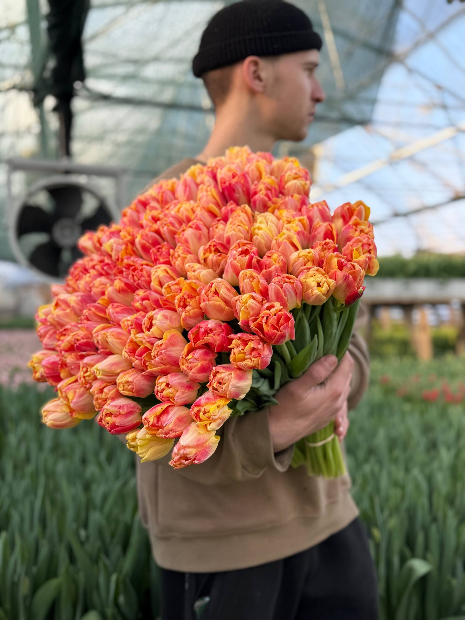 Тюльпаны к 8 марта