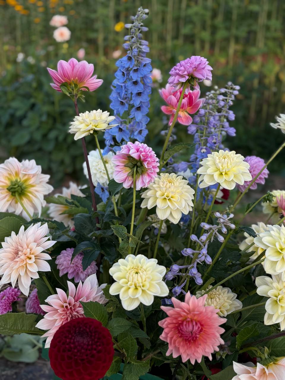 Цветочная ферма